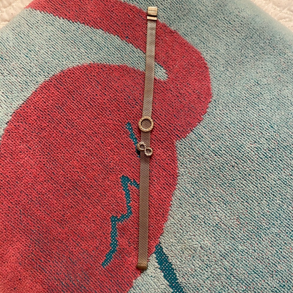 Pandora Reflexions Bracelet w/2 pandora charms!